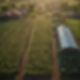 Aerial view of a diverse organic farm showcasing sustainable practices