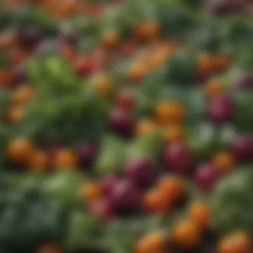 Freshly harvested vegetables ready for preservation