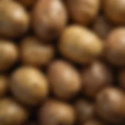 A close-up of freshly harvested Princess Laratte potatoes showcasing their unique texture and color.