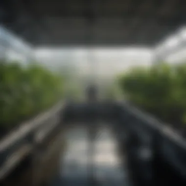 An infographic illustrating the principles of hydroponic farming and the advantages of Orca technology.