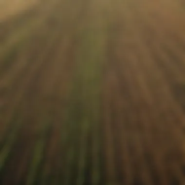 Aerial view of diverse crop fields