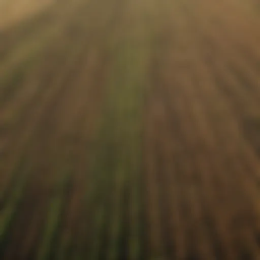 Aerial view of diverse crop fields