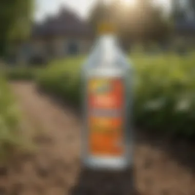 A close-up of Roundup weed killer bottle in a garden