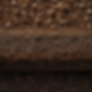 Close-up of soil layers beneath a layer of mulch