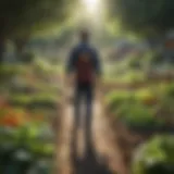 Community garden promoting sustainable agriculture