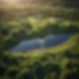 Aerial view of a lush green landscape with renewable energy sources