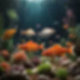 A vibrant aquarium showcasing diverse fish species