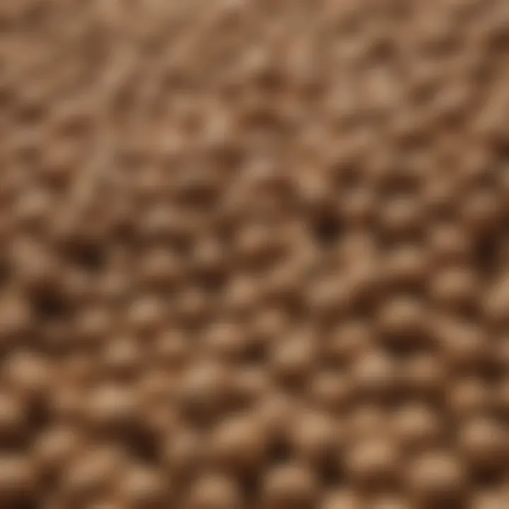Close-up of high-quality fish food pellets
