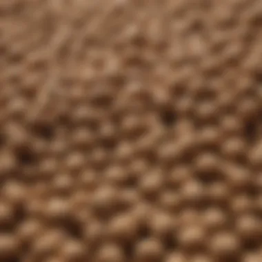 Nutrient-Rich Fish Food Pellets Close-up of high-quality fish food pellets