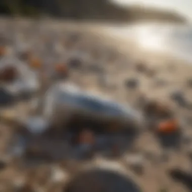 Plastic Pollution on Coastal Ecosystems Close-up of plastic pollution on a beach