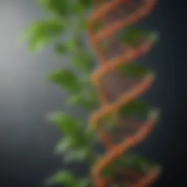 Representation of plant DNA structure