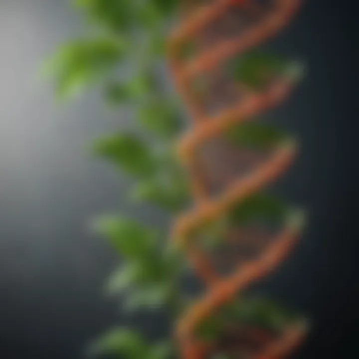 Representation of plant DNA structure