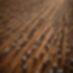 Aerial view of expansive cattle ranches illustrating land use