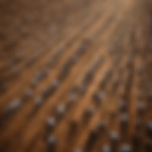 Aerial view of expansive cattle ranches illustrating land use