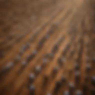 Land Utilization in Cattle Farming Aerial view of expansive cattle ranches illustrating land use