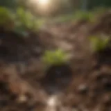 Healthy soil structure supporting diverse ecosystems