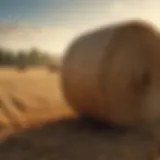 Bale spikes in action lifting hay bales