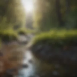 Visual representation of climate change impact on natural ecosystems