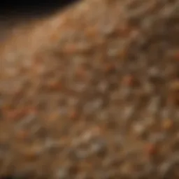 Nutritional ingredients in cool and calm horse feed