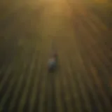 Aerial view of a diverse agricultural landscape showcasing various crops.