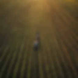 Aerial view of a diverse agricultural landscape showcasing various crops.