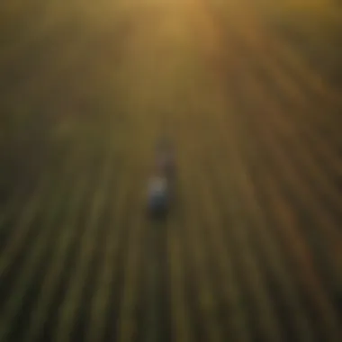 Aerial view of a diverse agricultural landscape showcasing various crops.