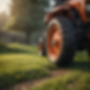 Effective Application Techniques for Lawn Feed Application techniques for lawn feed