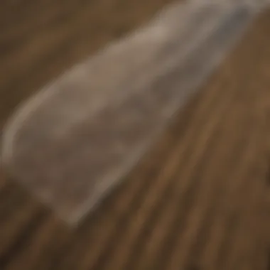 Aerial view of agricultural land utilizing saining nets for pest management