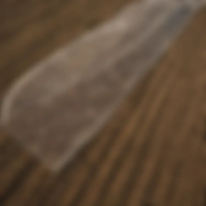 Aerial view of agricultural land utilizing saining nets for pest management