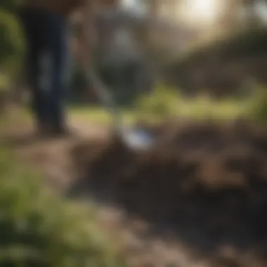 Gardeners applying compost to a lawn with a shovel