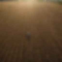Aerial view of a vast agricultural landscape highlighting disparities in crop production.