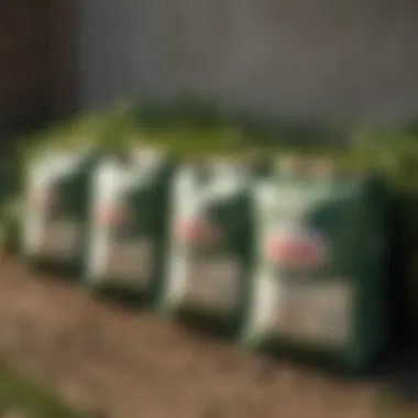 Various types of fertilizers displayed in bags