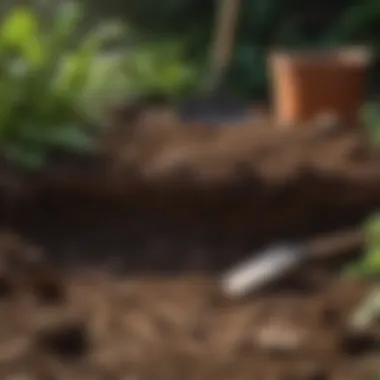Garden Soil Analysis An outdoor garden scene with soil test kits and gardening tools